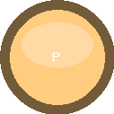 Pro 1